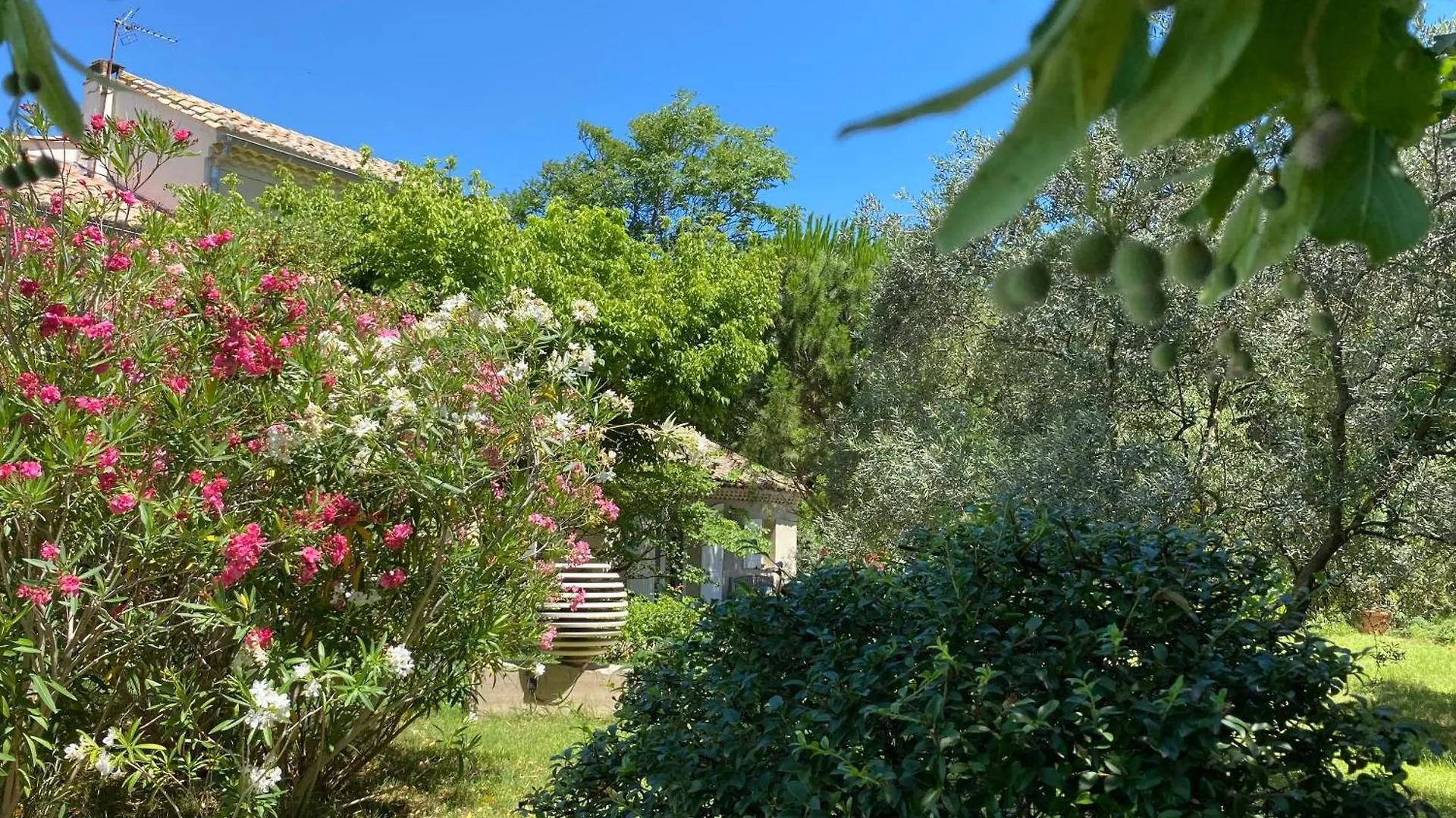 Couette-café Bed and Breakfast Domaine Lafayette à Loriol-du-Comtat France